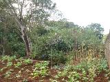 imagem 3 - Terreno - Área imagem 3 - Terreno - Área