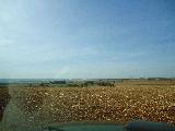 imagem 2 - Terreno - Área imagem 2 - Terreno - Área