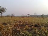 imagem 1 - Terreno - Área imagem 1 - Terreno - Área