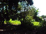 imagem 2 - Terreno - Área imagem 2 - Terreno - Área