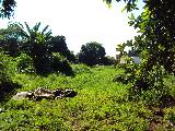 imagem 1 - Terreno - Área imagem 1 - Terreno - Área