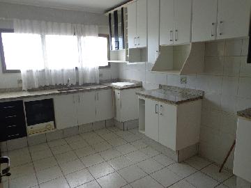 imagem 4 - Apartamento - Padrão imagem 4 - Apartamento - Padrão