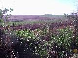 imagem 3 - Terreno - Área imagem 3 - Terreno - Área