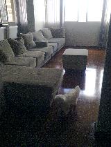 imagem 1 - Apartamento - Padrão imagem 1 - Apartamento - Padrão