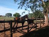 imagem 2 - Rural - Chácara imagem 2 - Rural - Chácara