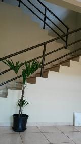 imagem 2 - Casa - Padrão imagem 2 - Casa - Padrão