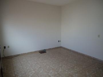 Casa térrea padrão, bairro Campos Eliseos, Zona Leste, Ribeirão Preto SP