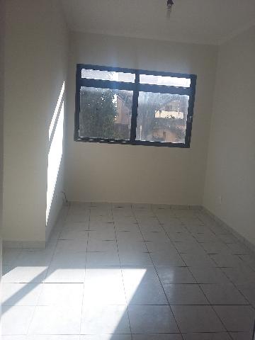 imagem 3 - Apartamento padrão com 43,81m² no Bairro Vila Ana Maria Zona Sul de Ribeirão Preto/SP: imagem 3 - Apartamento padrão com 43,81m² no Bairro Vila Ana Maria Zona Sul de Ribeirão Preto/SP: