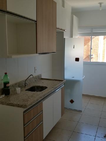 imagem 1 - Apartamento - Padrão imagem 1 - Apartamento - Padrão
