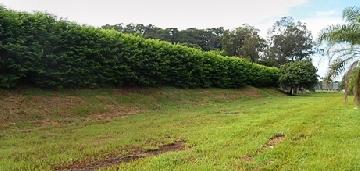 imagem 4 - Terreno - Área imagem 4 - Terreno - Área