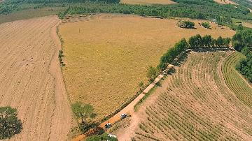 imagem 1 - Rural - Sítio imagem 1 - Rural - Sítio