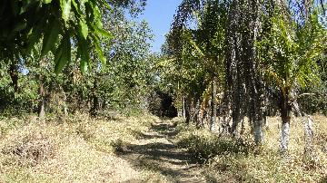 imagem 4 - Rural - Sítio imagem 4 - Rural - Sítio