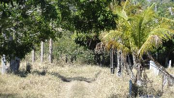 imagem 5 - Rural - Sítio imagem 5 - Rural - Sítio
