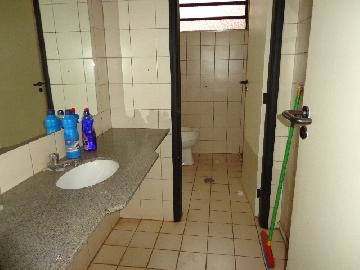 imagem 5 - Comercial - Sala imagem 5 - Comercial - Sala