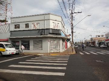 imagem 1 - Casa - Padrão imagem 1 - Casa - Padrão