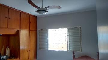 imagem 3 - Casa - Padrão imagem 3 - Casa - Padrão