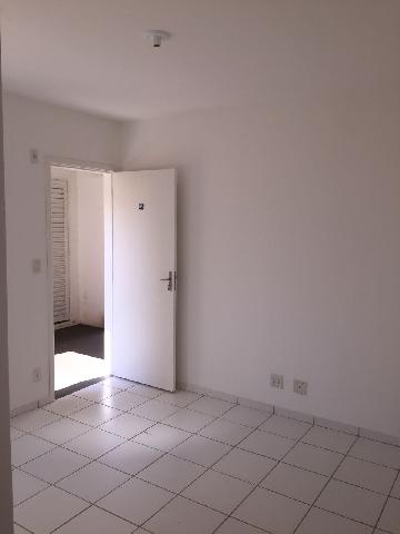 Alugar Apartamento / Padrão em Ribeirão Preto. apenas R$ 141.000,00