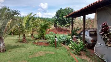 imagem 3 - Rural - Sítio imagem 3 - Rural - Sítio