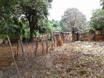 Alugar Terreno / Terreno em Ribeirão Preto. apenas R$ 1.500,00