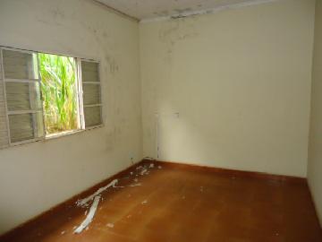 imagem 4 - Casa - Padrão imagem 4 - Casa - Padrão