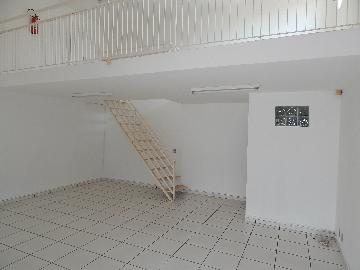 Comercial / Salão em Ribeirão Preto/SP 