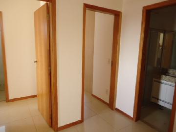 imagem 4 - Apartamento padrão, Jardim Paulista, Zona Leste, Ribeirão Preto SP imagem 4 - Apartamento padrão, Jardim Paulista, Zona Leste, Ribeirão Preto SP