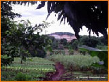 imagem 1 - Terreno - Área imagem 1 - Terreno - Área