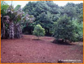 imagem 3 - Terreno - Área imagem 3 - Terreno - Área