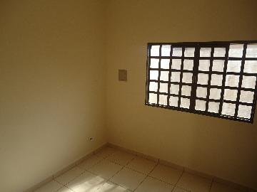 Casa terrea padrão, Bairro Campos Eliseos, Zona Leste, Ribeirão Preto SP