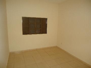 imagem 4 - Casa terrea padrão, Bairro Campos Eliseos, Zona Leste, Ribeirão Preto SP imagem 4 - Casa terrea padrão, Bairro Campos Eliseos, Zona Leste, Ribeirão Preto SP