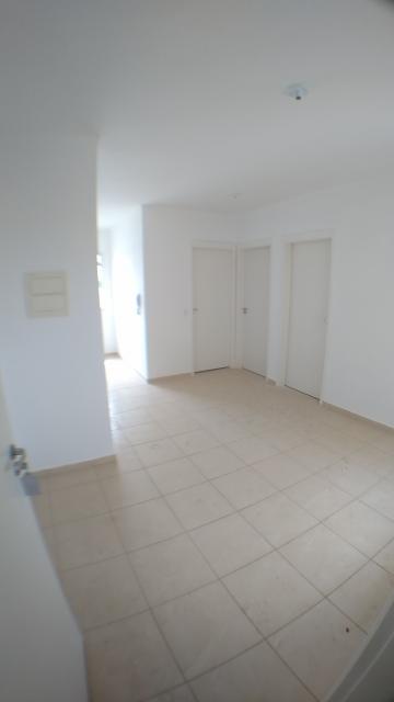 imagem 1 - Apartamento - Padrão imagem 1 - Apartamento - Padrão