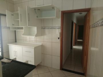 Alugar Casa / Padrão em Ribeirão Preto R$ 1.100,00 - Foto 12 Alugar Casa / Padrão em Ribeirão Preto R$ 1.100,00 - Foto 12