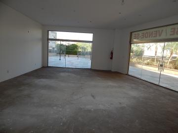 imagem 2 - Loja comercial, Jardim Botânico, Zona Sul, Ribeirão Preto SP imagem 2 - Loja comercial, Jardim Botânico, Zona Sul, Ribeirão Preto SP