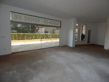 imagem 4 - Loja comercial, Jardim Botânico, Zona Sul, Ribeirão Preto SP imagem 4 - Loja comercial, Jardim Botânico, Zona Sul, Ribeirão Preto SP