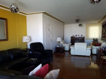 imagem 3 - Apartamento - Padrão imagem 3 - Apartamento - Padrão