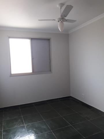 imagem 3 - Apartamento - Padrão imagem 3 - Apartamento - Padrão