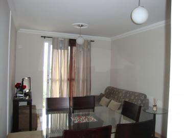 Alugar Apartamento / Padrão em Ribeirão Preto. apenas R$ 500,00