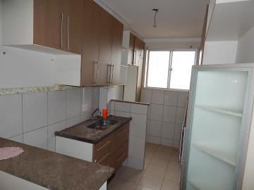imagem 3 - Apartamento - Cobertura imagem 3 - Apartamento - Cobertura