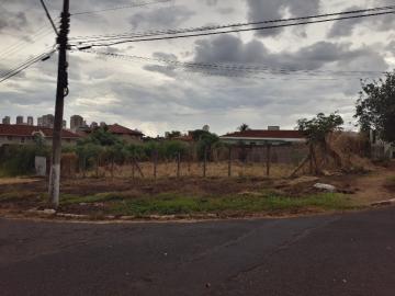 Alugar Terreno / Terreno em Ribeirão Preto. apenas R$ 5.000,00