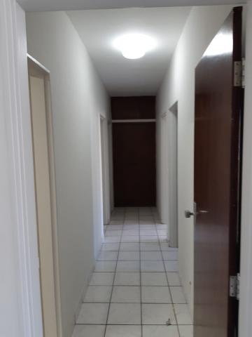 imagem 3 - Apartamento - Padrão imagem 3 - Apartamento - Padrão