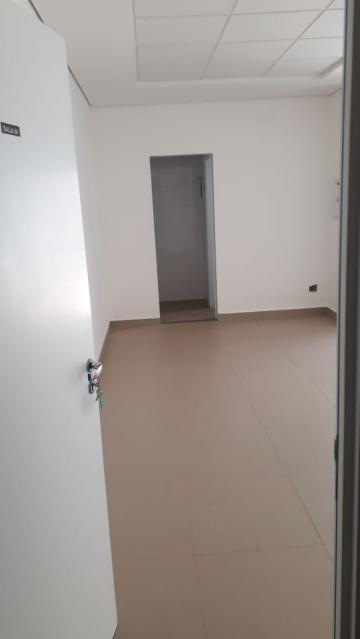 Alugar Comercial / Sala em Ribeirão Preto. apenas R$ 1.000,00