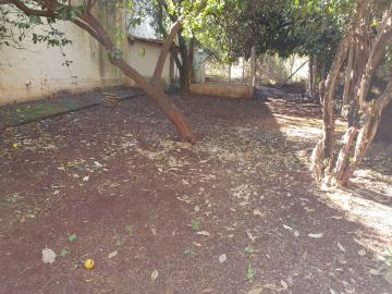 Comprar Casa / Padrão em Ribeirão Preto R$ 990.000,00 - Foto 37 Comprar Casa / Padrão em Ribeirão Preto R$ 990.000,00 - Foto 37