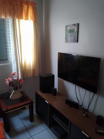 imagem 3 - Apartamento - Padrão imagem 3 - Apartamento - Padrão