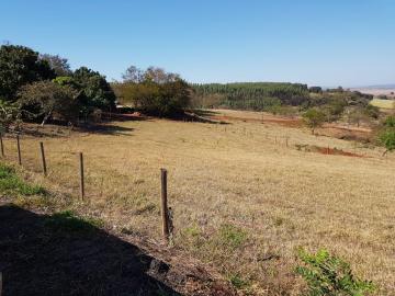 imagem 4 - Rural - Sítio imagem 4 - Rural - Sítio