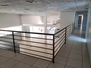Alugar Comercial / Prédio em Ribeirão Preto R$ 50.000,00 - Foto 28 Alugar Comercial / Prédio em Ribeirão Preto R$ 50.000,00 - Foto 28