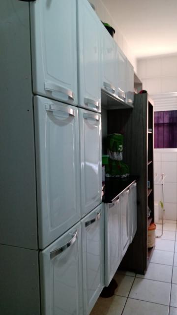 Alugar Apartamento / Padrão em Ribeirão Preto. apenas R$ 82.000,00