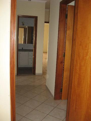 imagem 3 - Apartamento - Padrão imagem 3 - Apartamento - Padrão