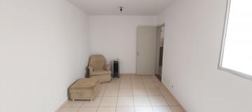 imagem 2 - Apartamento - Padrão imagem 2 - Apartamento - Padrão