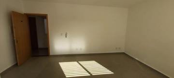 imagem 4 - Sala comercial com 25 m², Bairro Nova Aliança, Zona Sul de Ribeirão Preto/SP. imagem 4 - Sala comercial com 25 m², Bairro Nova Aliança, Zona Sul de Ribeirão Preto/SP.