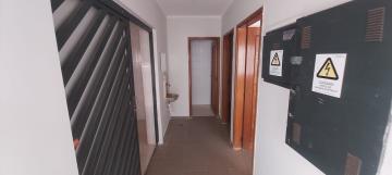 Alugar Casa / Padrão em Ribeirão Preto R$ 4.000,00 - Foto 17 Alugar Casa / Padrão em Ribeirão Preto R$ 4.000,00 - Foto 17